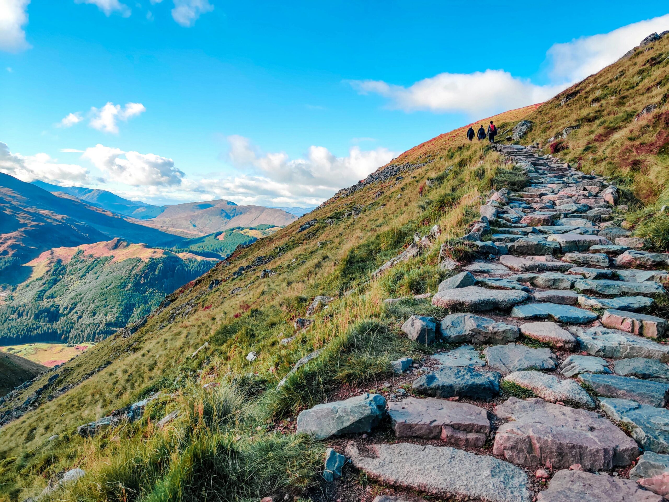 gray rocky pathway on green grass field near mountains under blue sky during daytime