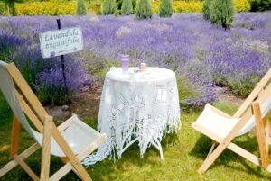 Agenda Creativa Image