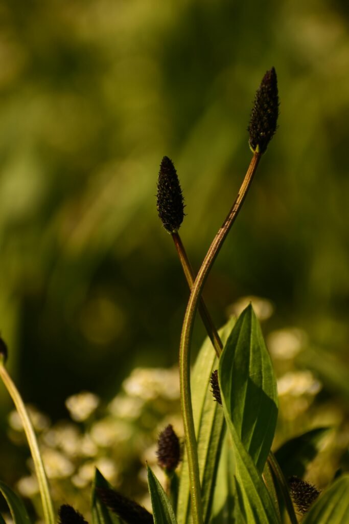 Agenda Creativa Image