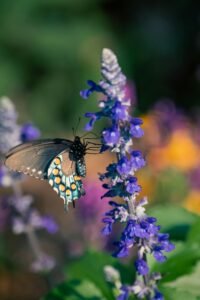 Agenda Creativa Image