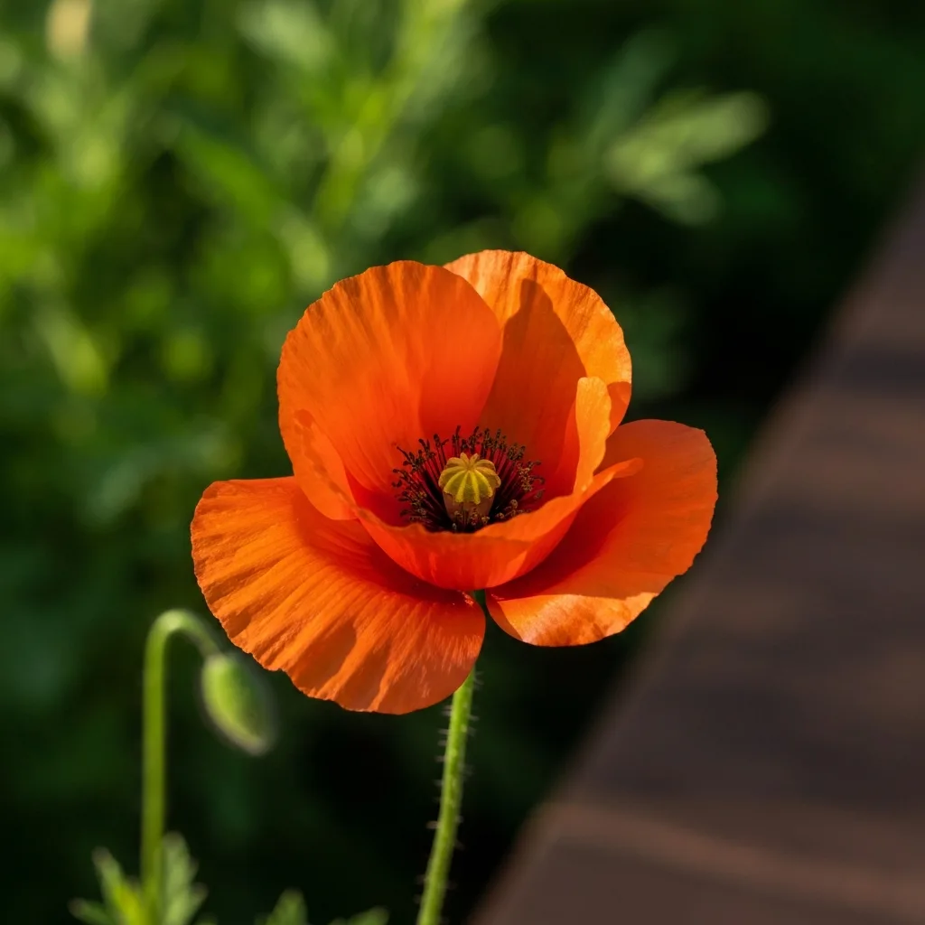 A conceptual, beautifully lit macro photograph of a single, perfect dewdrop resting on a vibrant green fern leaf in a dense, quiet forest. The morning sunlight catches the dewdrop, creating a tiny, brilliant prism of light that symbolizes a 'glimmer' of safety in nature. Earthy tones, highly detailed, serene atmosphere, National Geographic photography style.