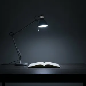 A stark, minimalist workspace with a single lit desk lamp casting a focused beam on an open notebook. The surrounding room is in deep, cool shadows, conveying a sense of quiet, intense focus and cold execution, cinematic lighting, photorealistic.