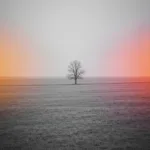 A conceptual, cinematic photograph of a muted, grayscale landscape slowly transitioning into subtle, warm, vibrant colors at the edges, symbolizing the gradual thawing of emotional flattening. Soft, diffused lighting, high resolution, psychological depth.
