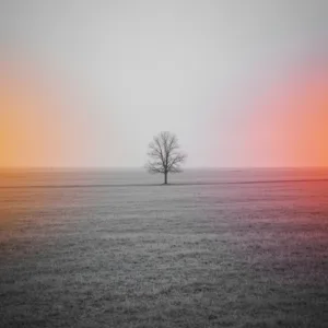 A conceptual, cinematic photograph of a muted, grayscale landscape slowly transitioning into subtle, warm, vibrant colors at the edges, symbolizing the gradual thawing of emotional flattening. Soft, diffused lighting, high resolution, psychological depth.