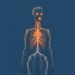 A conceptual, highly detailed illustration of a person's silhouette where the internal nervous system is visible, glowing with a subtle, tense orange light in the chest and jaw, contrasting with a deep, calm blue background. Minimalist, psychological art style.